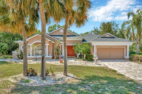 14680 LINDEN DRIVE SPRING HILL FL 34609