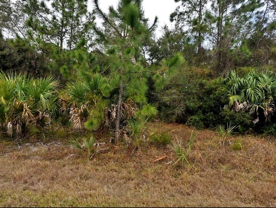 Build your Florida home on this 10,000 sq foot lot located in the fantastic community of North Port. The location of this land is exceptional and will allow you to enjoy baseball spring training for the Atlanta Braves, Aquatic Center, Myakkahatchee Creek Environmental Park & Greenway Nature Trail, Myakka State Forest, Warm Mineral Springs, (the only warm water springs in Florida) Wellen Park Downtown to enjoy dining, shopping and activities, the 18.5 mile Legacy Trail, North Port Performing Arts, beaches like Manasota Key, Gasparilla, Boca Grande, boating, fishing and so much more.