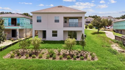 A home in MOUNT DORA