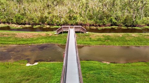 A home in MOUNT DORA