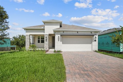 A home in MOUNT DORA