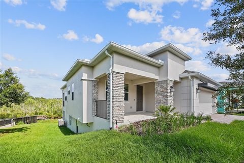 A home in MOUNT DORA