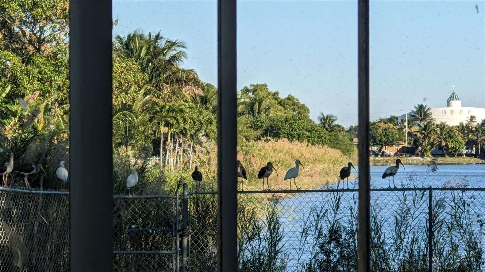 ESQUIRE LAKE ESTATES SEC 4 - Residential