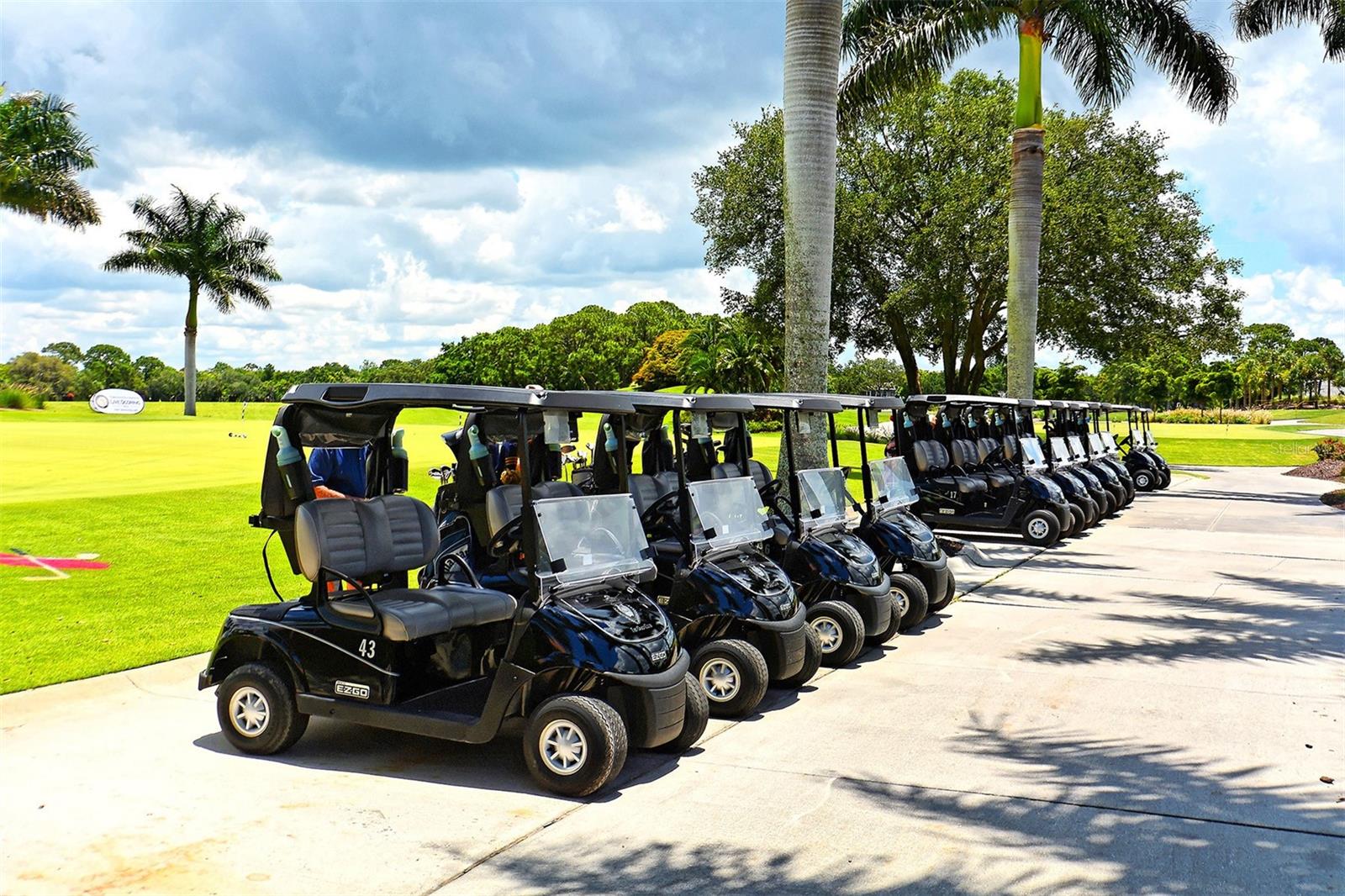 MERIDIAN AT THE OAKS PRESERVE - Residential