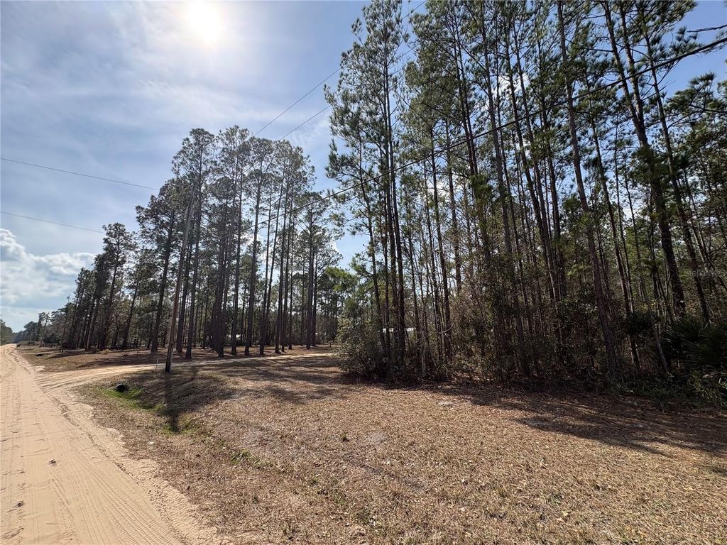 Photo of 4385 Bondarenko Road, Keystone Heights, FL 32656 (MLS # FC316379)