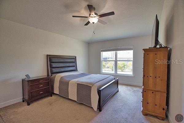 PORT CHARLOTTE SUB 33 - Residential