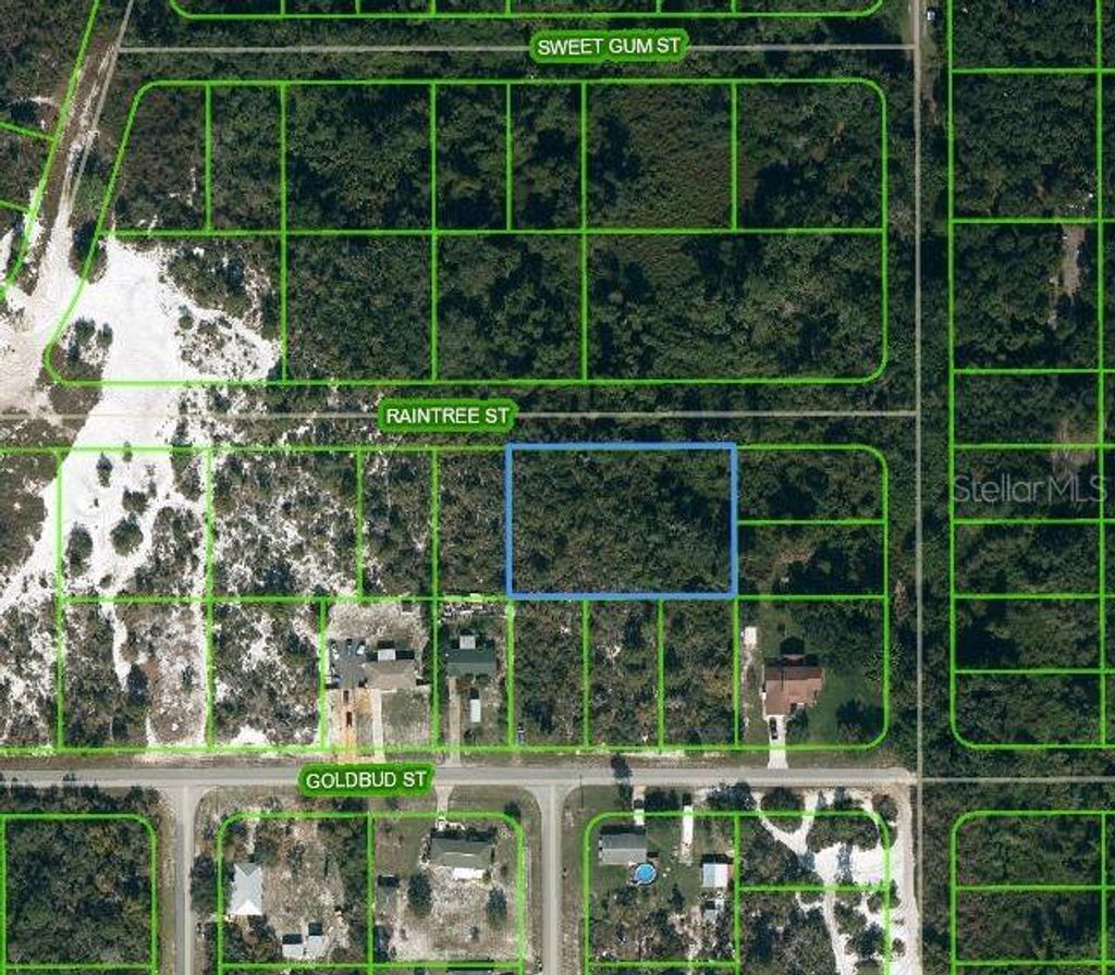 Photo of 1515 Raintree Street, Lake Placid, FL 33852 (MLS # OM624735)