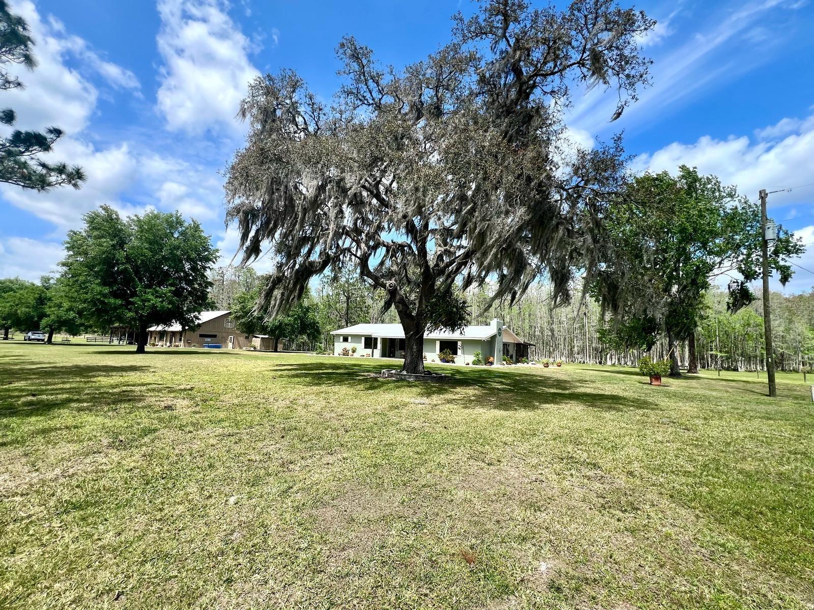 1464 MOUNT PLEASANT ROAD