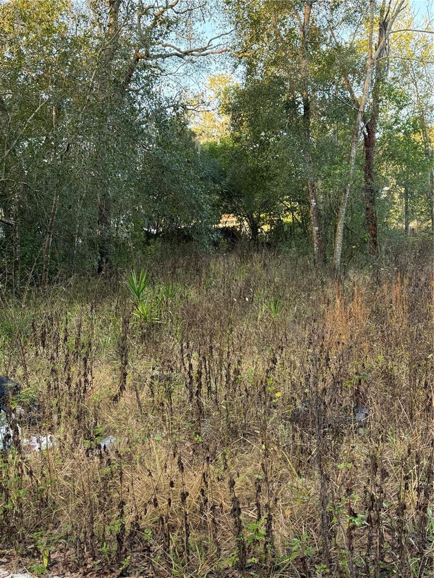 This is a great piece of land for you to build on. Land is overgrown and needs to be cleared and leveled if you will put a dwelling on it. The land sits on a dirt road. Impact fees are paid. Used to have a single wide mobile home on the property that was torn down. Electric, water and Septic were previously attached to the mobile that was torn down. The land is close to Moon Lake Elementary, State Road 52 and the Suncoast Parkway. Groceries and shopping are nearby as well. Only 5 minutes from Moon Lake Park.