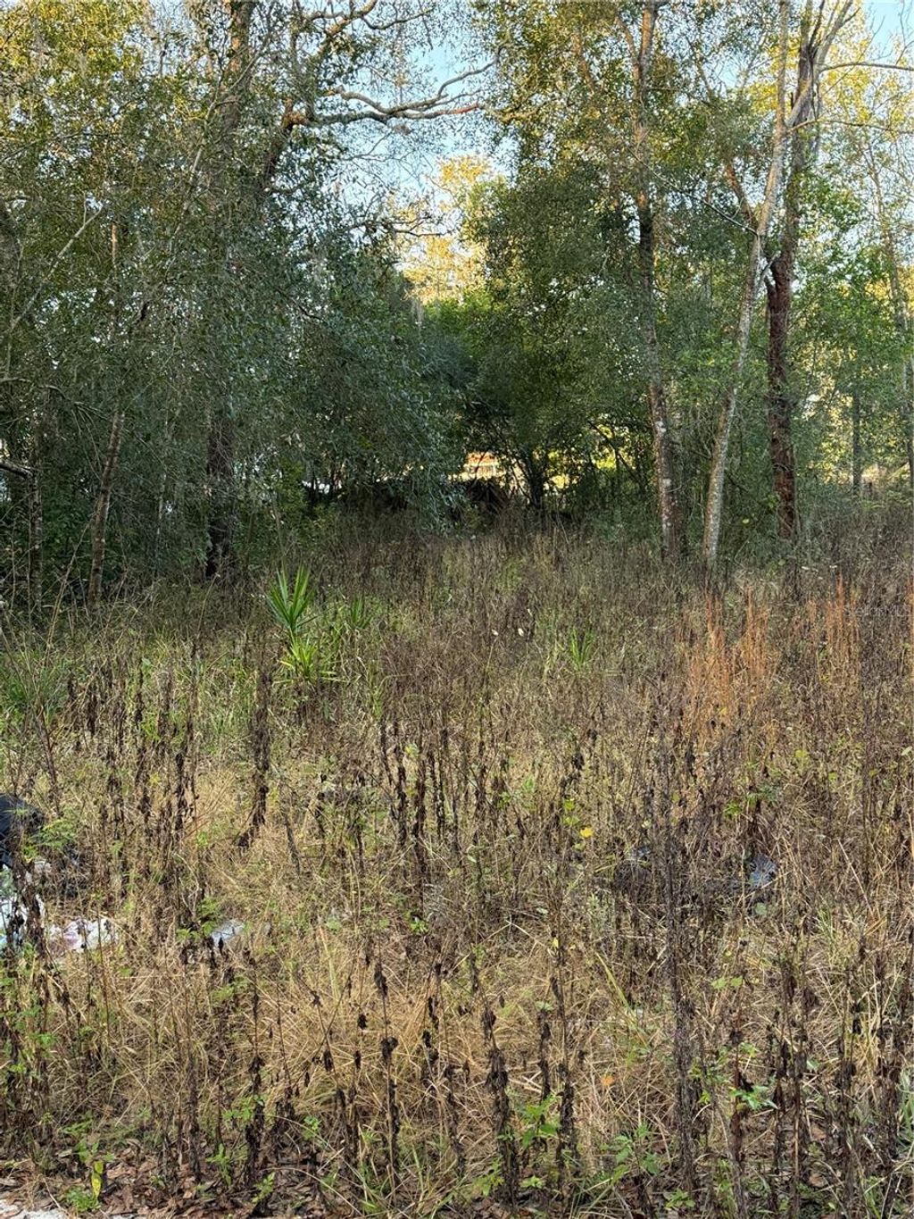 Photo of 9411 Kissimmee Street, New Port Richey, FL 34654 (MLS # TB8458040)