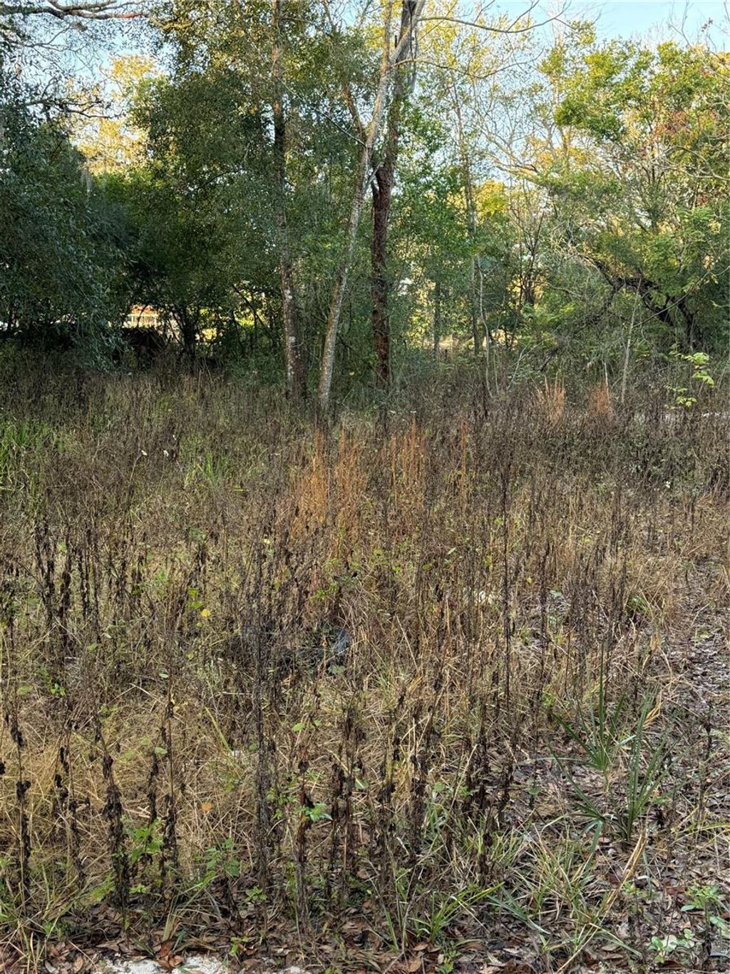 Photo of 9411 Kissimmee Street, New Port Richey, FL 34654 (MLS # TB8458040)