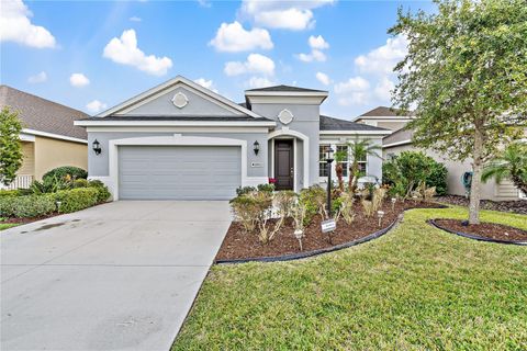 Single Family Residence in PARRISH FL 10923 BLUE MAGNOLIA LANE.jpg