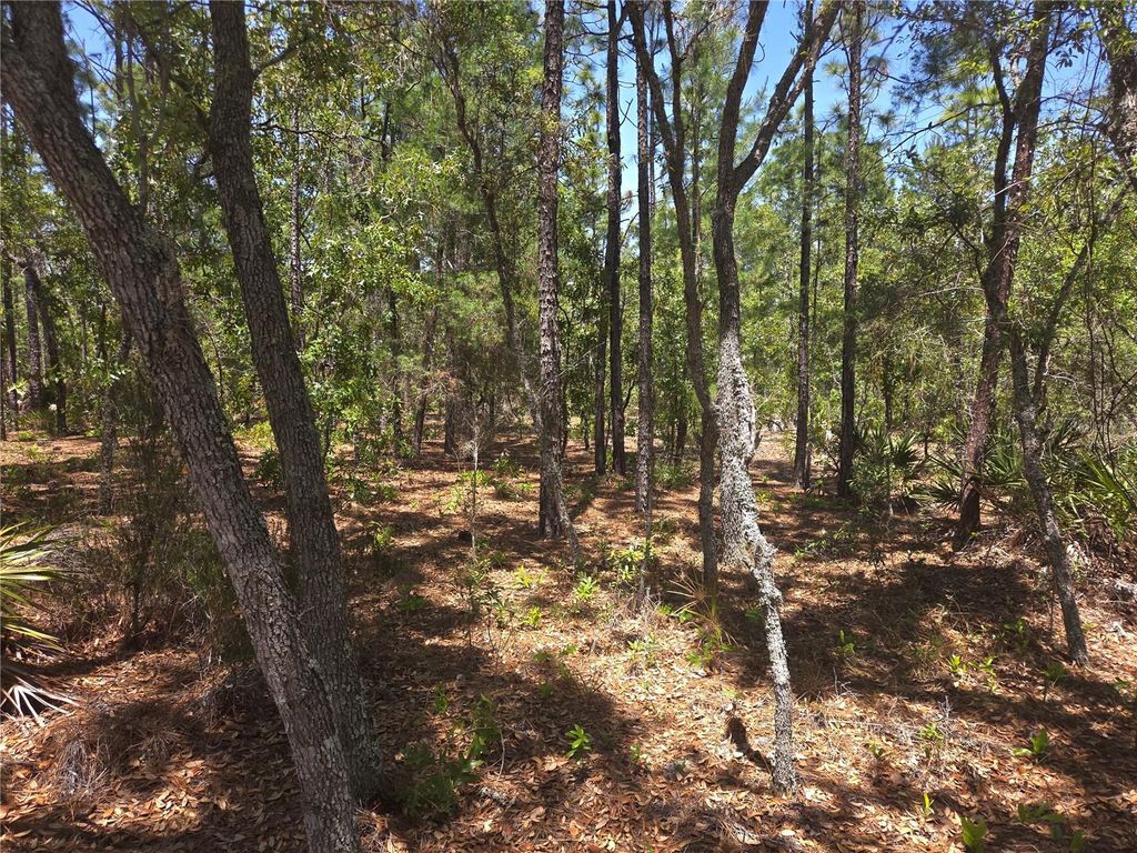 Photo of 4231 W Bonanza Drive, Beverly Hills, FL 34465 (MLS # TB8503249)