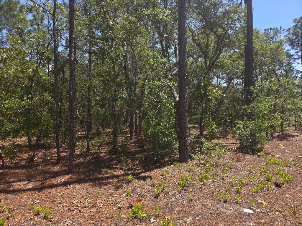 Photo of 4231 W Bonanza Drive, Beverly Hills, FL 34465 (MLS # TB8503249)