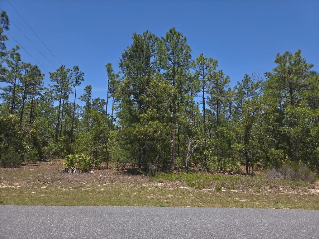 Photo of 4231 W Bonanza Drive, Beverly Hills, FL 34465 (MLS # TB8503249)