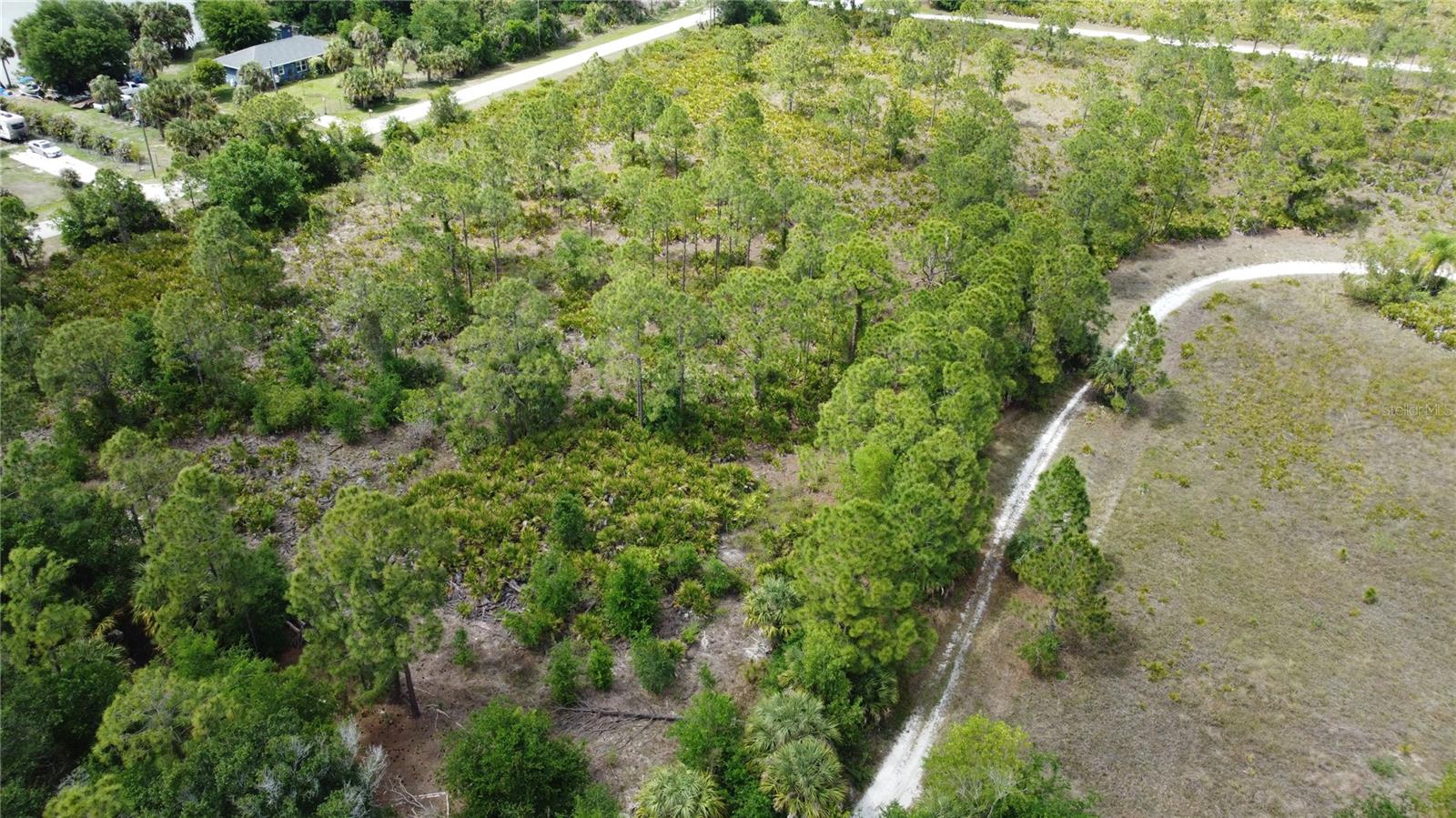 TROPICAL GULF ACERS UN 06 - Land