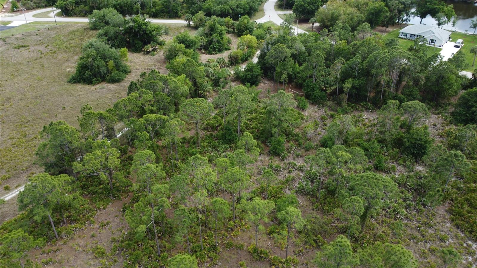 TROPICAL GULF ACERS UN 06 - Land