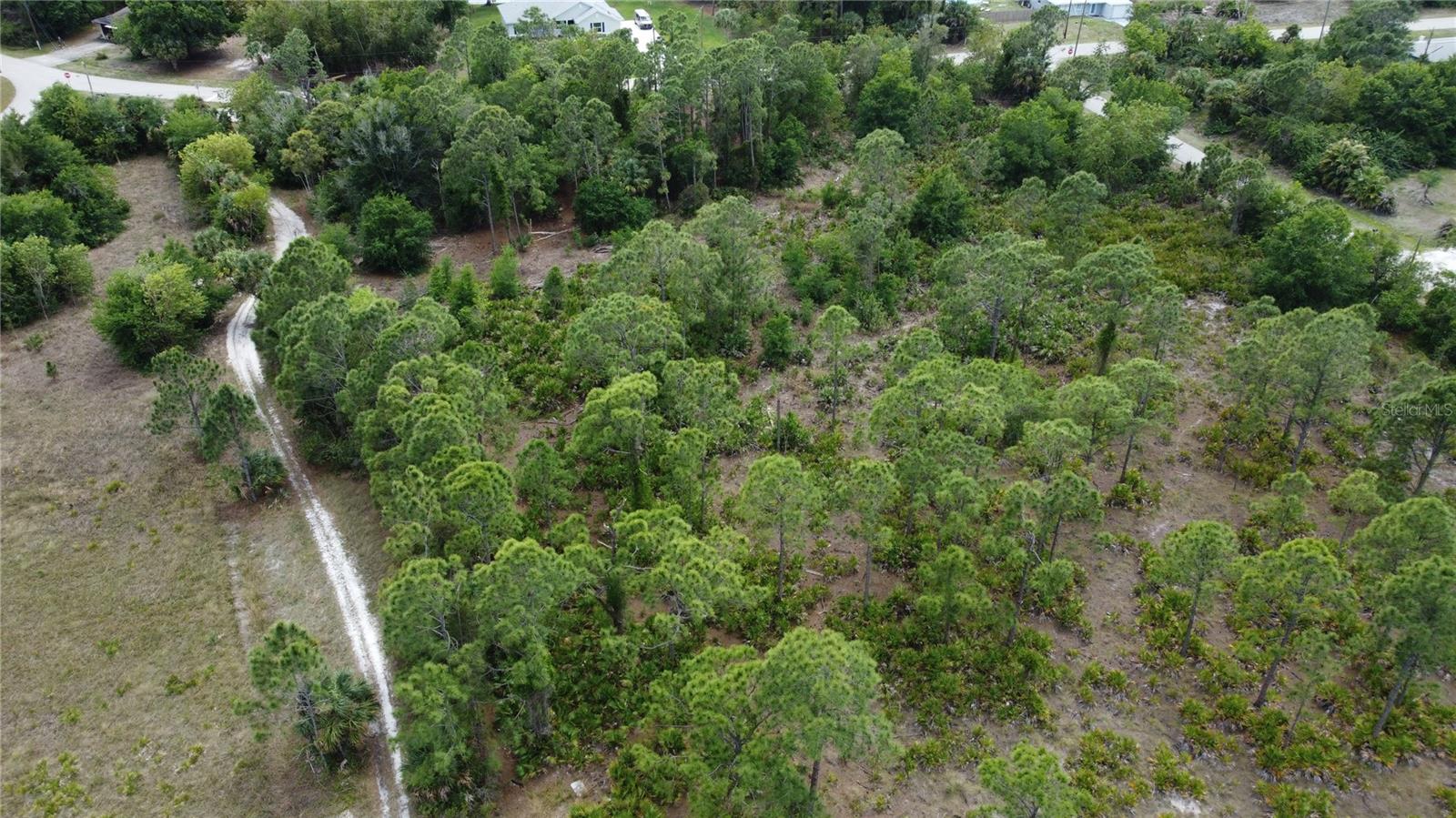 TROPICAL GULF ACERS UN 06 - Land