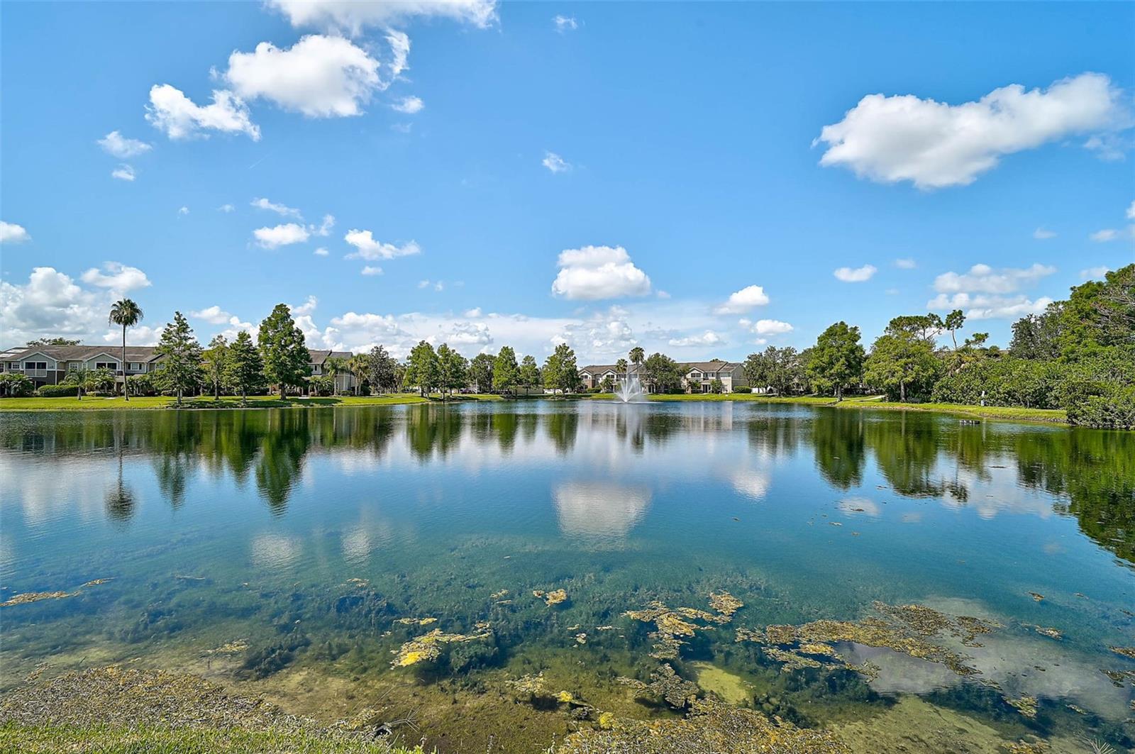 THE VILLAGE AT TOWNPARK - Residential