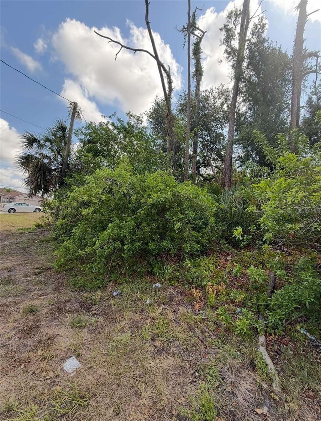 Photo of 17285 Malta Avenue, Port Charlotte, FL 33954 (MLS # A4655927)