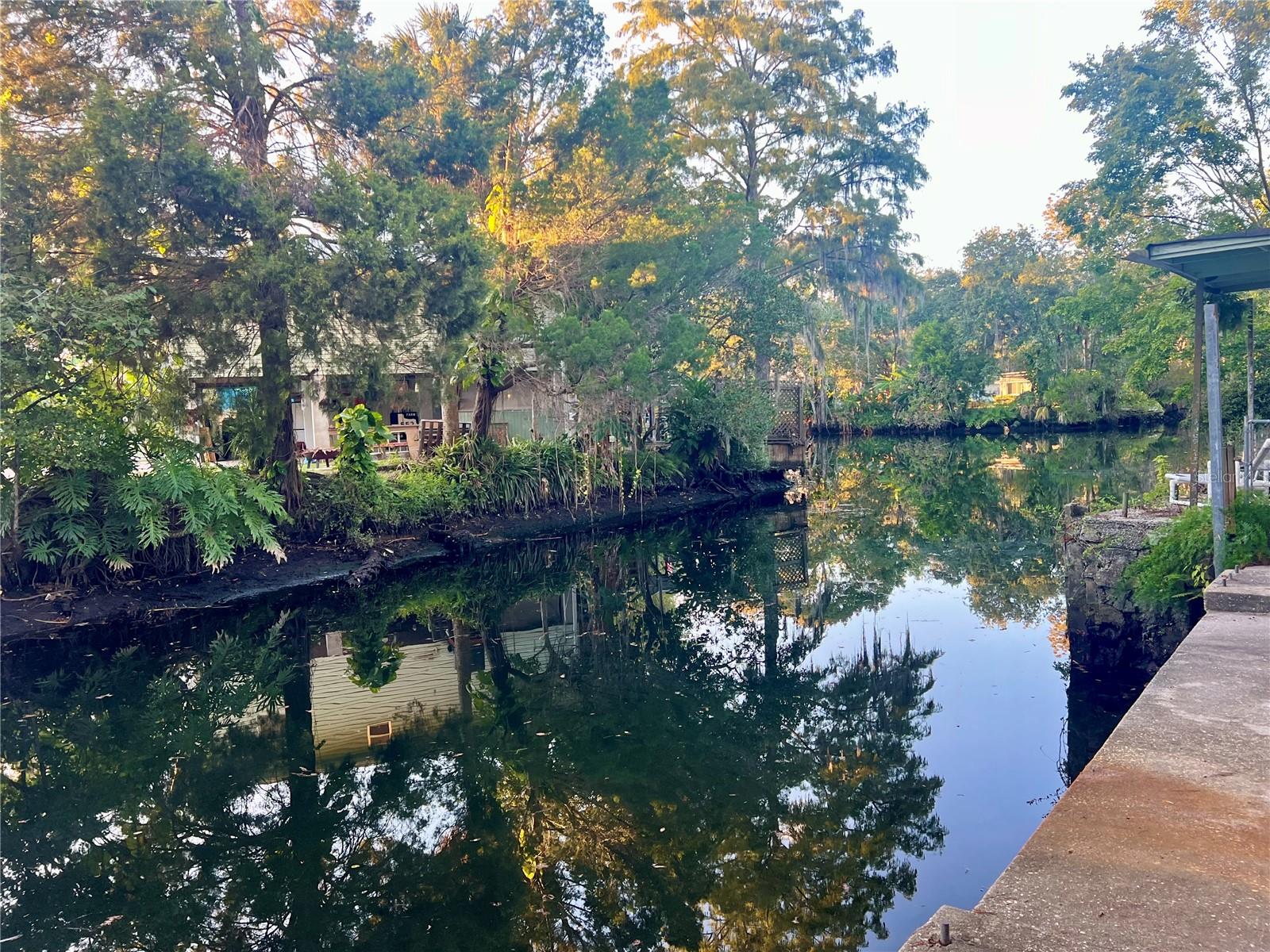 WEEKI WACHEE GARDENS - Residential