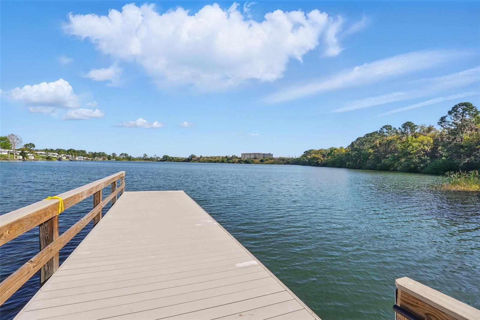 TAVARES LAKE FRANCES ESTATES - Residential