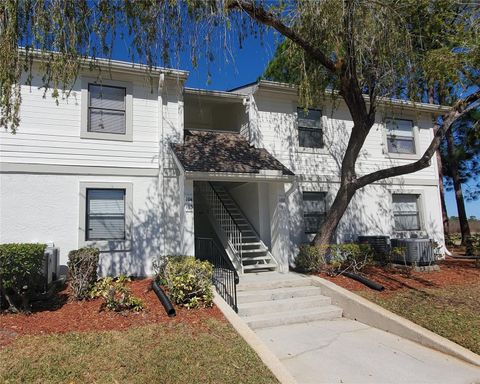 103 MEADOW LANE 103 OLDSMAR FL 34677