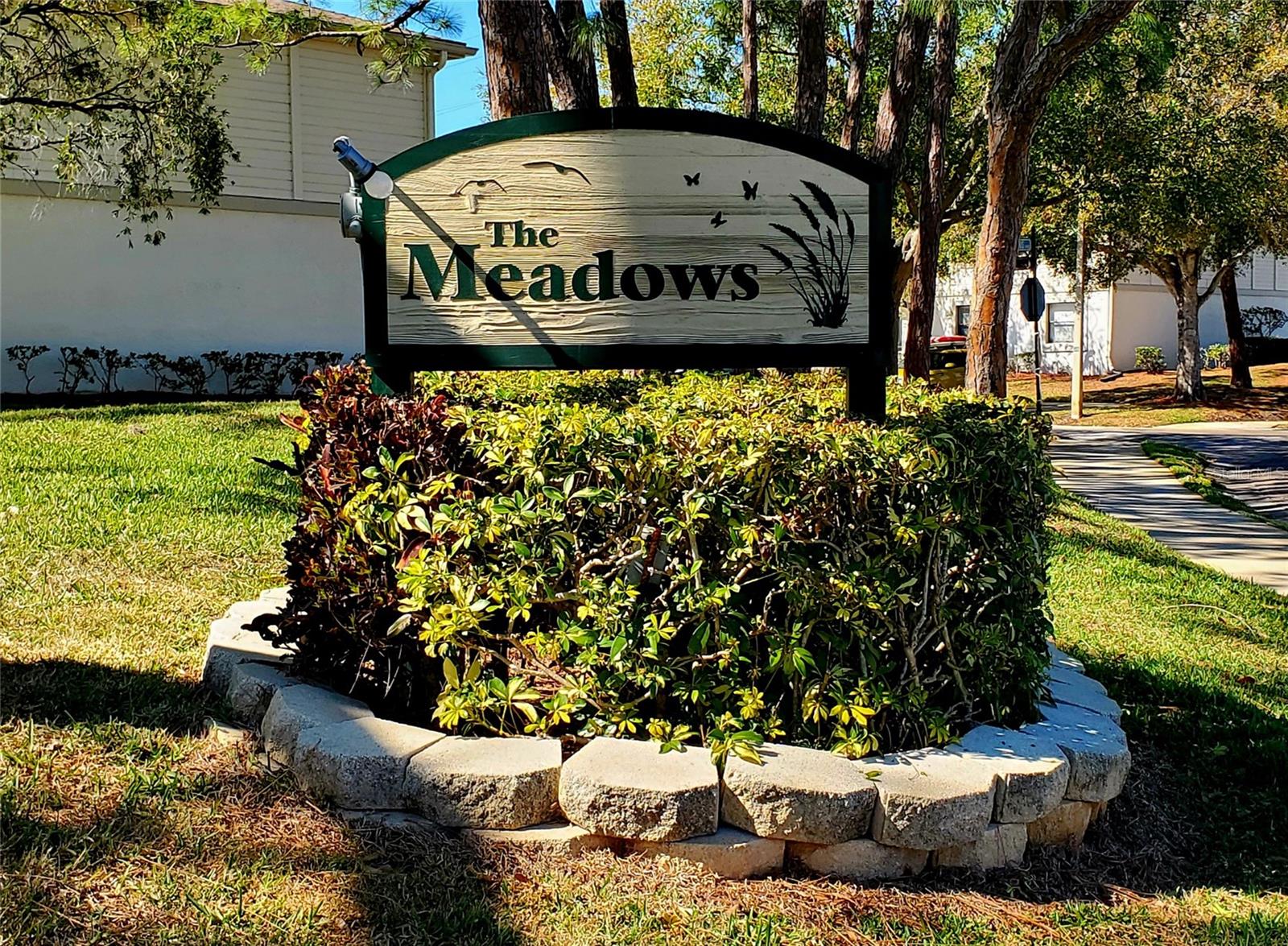MEADOWS CONDO AT EAST LAKE WOODLANDS - Residential