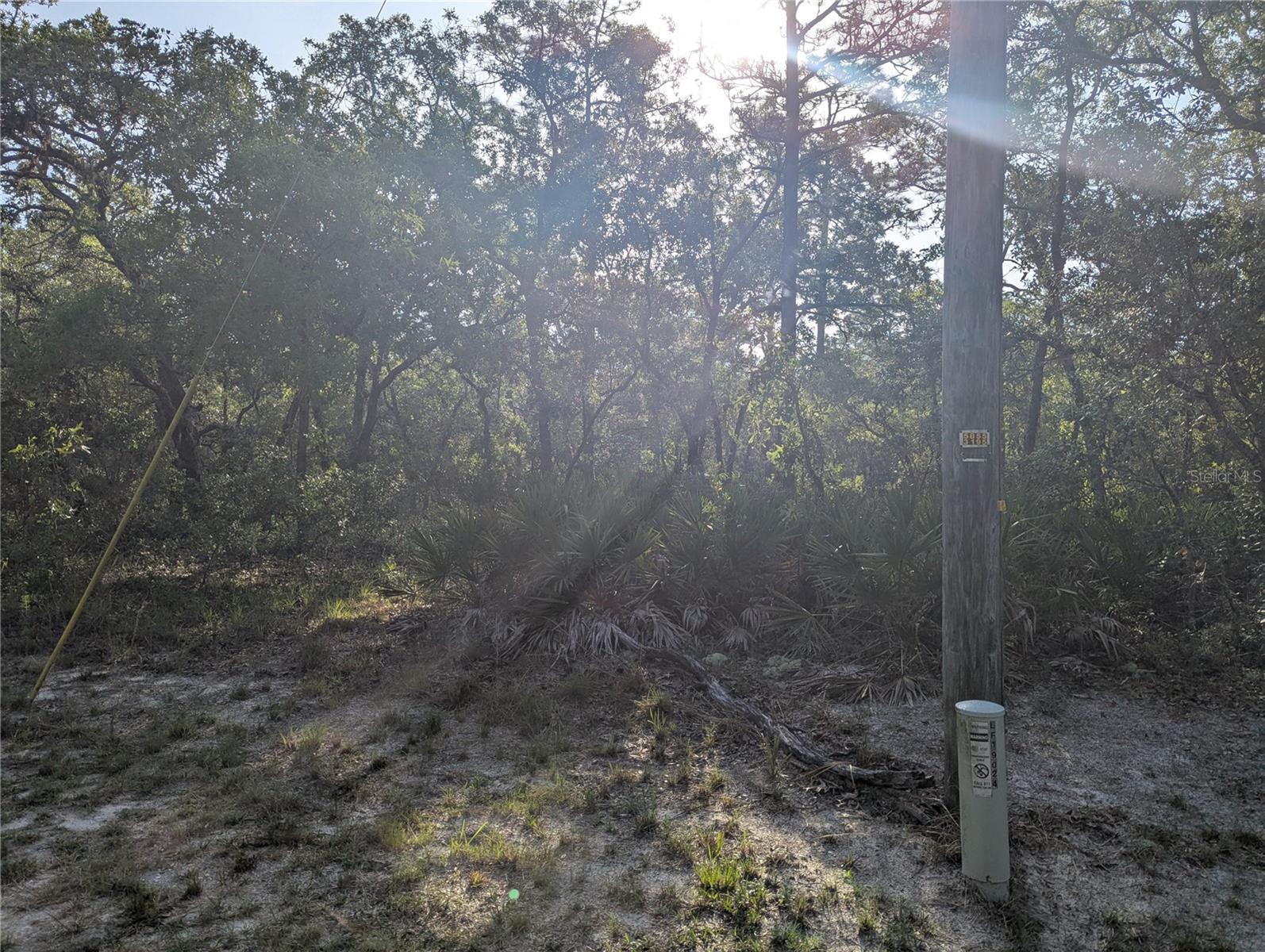 Great opportunity to build your dream home on this beautiful pcturesque .87 acre lot in Royal Highlands. This lot is nestled in the peaceful Royal Highlands community. Currently offering serene views for you nature lovers!! Convieniently located near the Chattawiska Park & a short 20 minutes to the Weeki Wachee River & Preserve. Shopping for all your conveniences is growing rapidly in the area. Grocery stores, drug stores, drive thru's, gyms, restaurants, and more. No HOA, just peacefull lots in nature. What are you waiting for? Buy this lot and start buillding your dream home today.