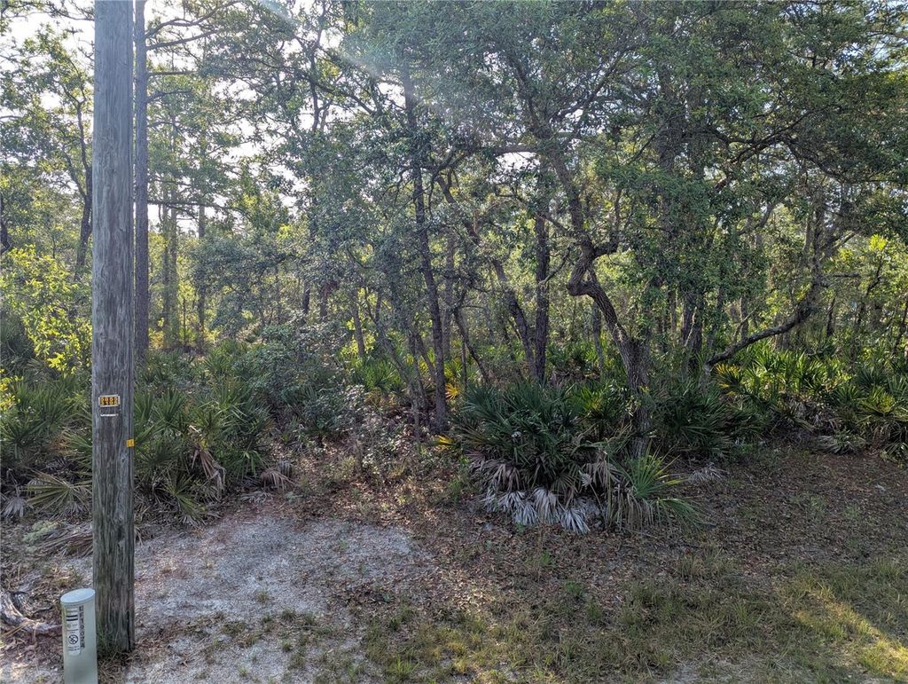 Photo of 19036 Retriever Road, Brooksville, FL 34614 (MLS # TB8387524)