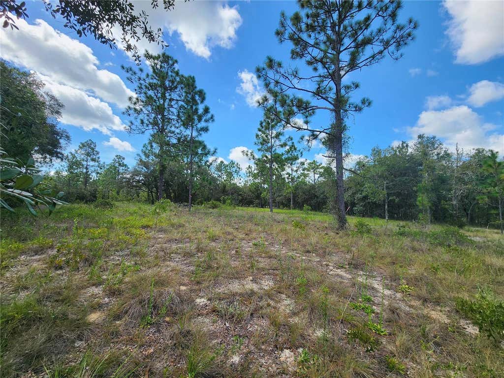 Photo of SW Nectarine Lane, Dunnellon, FL 34431 (MLS # OM730214)