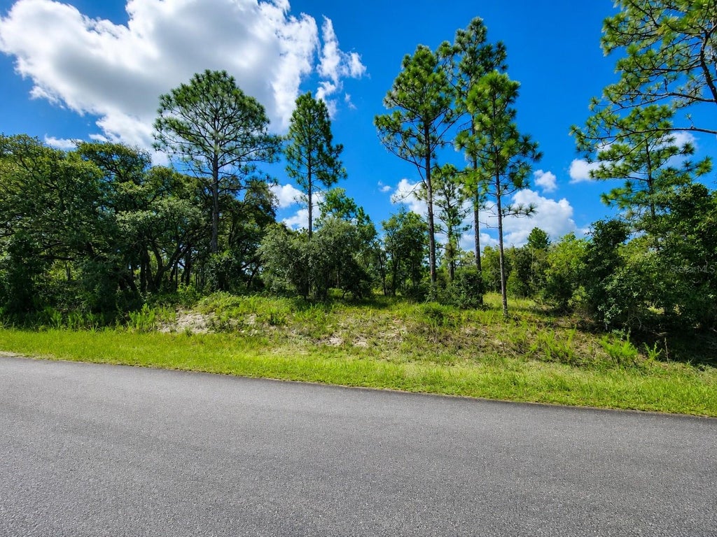 Photo of SW Nectarine Lane, Dunnellon, FL 34431 (MLS # OM730214)