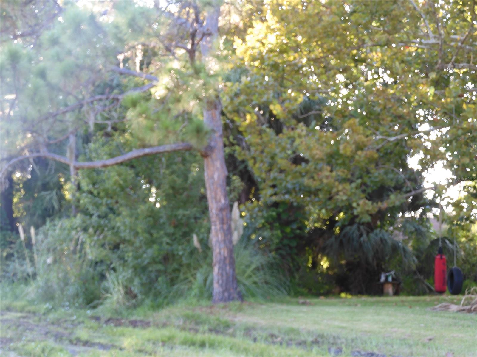 Florida Shores 01 - Land