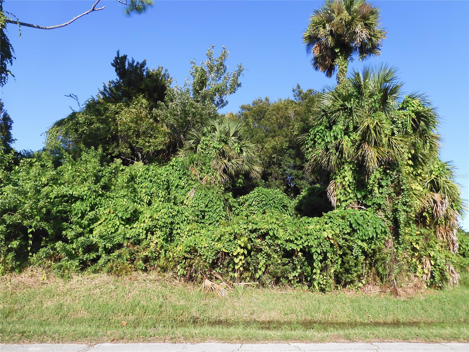 Florida Shores 01 - Land