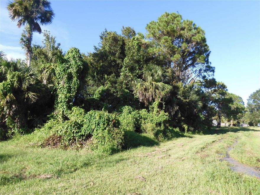 Beautiful wooded lot in a great location to build your dream home surrounded by beautiful homes! Situated at the north corner of Woodland & 23rd St. which is an easement and provides a buffer zone between neighbors & lots of privacy. Flood zone X is the best and does not require flood insurance. Enjoy the shade from a variety of oak trees, palm trees & pine trees. Convenient to SR 442 shops & restaurants & close to I-95 and Hwy.1. Only 15 minutes to the beach & 5 minutes to the river! Two riverfront parks with grills, picnic tables, boat ramps & fishing docks only minutes away making it easy to enjoy fishing the world famous Indian River and mosquito lagoon. Seller to have it trimmed up soon so you can see the beautiful trees.; Cleared: No ;Water: City