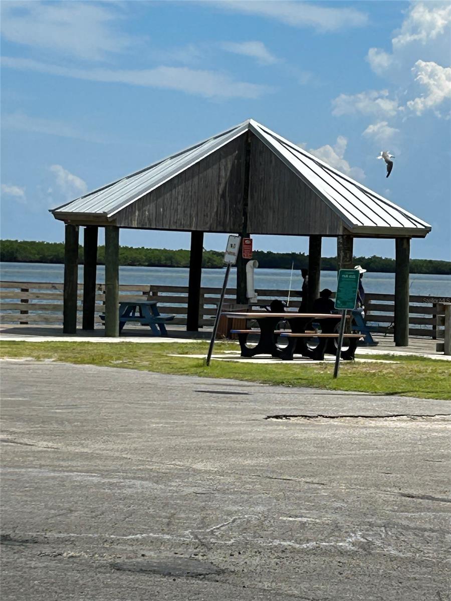 Florida Shores 01 - Land