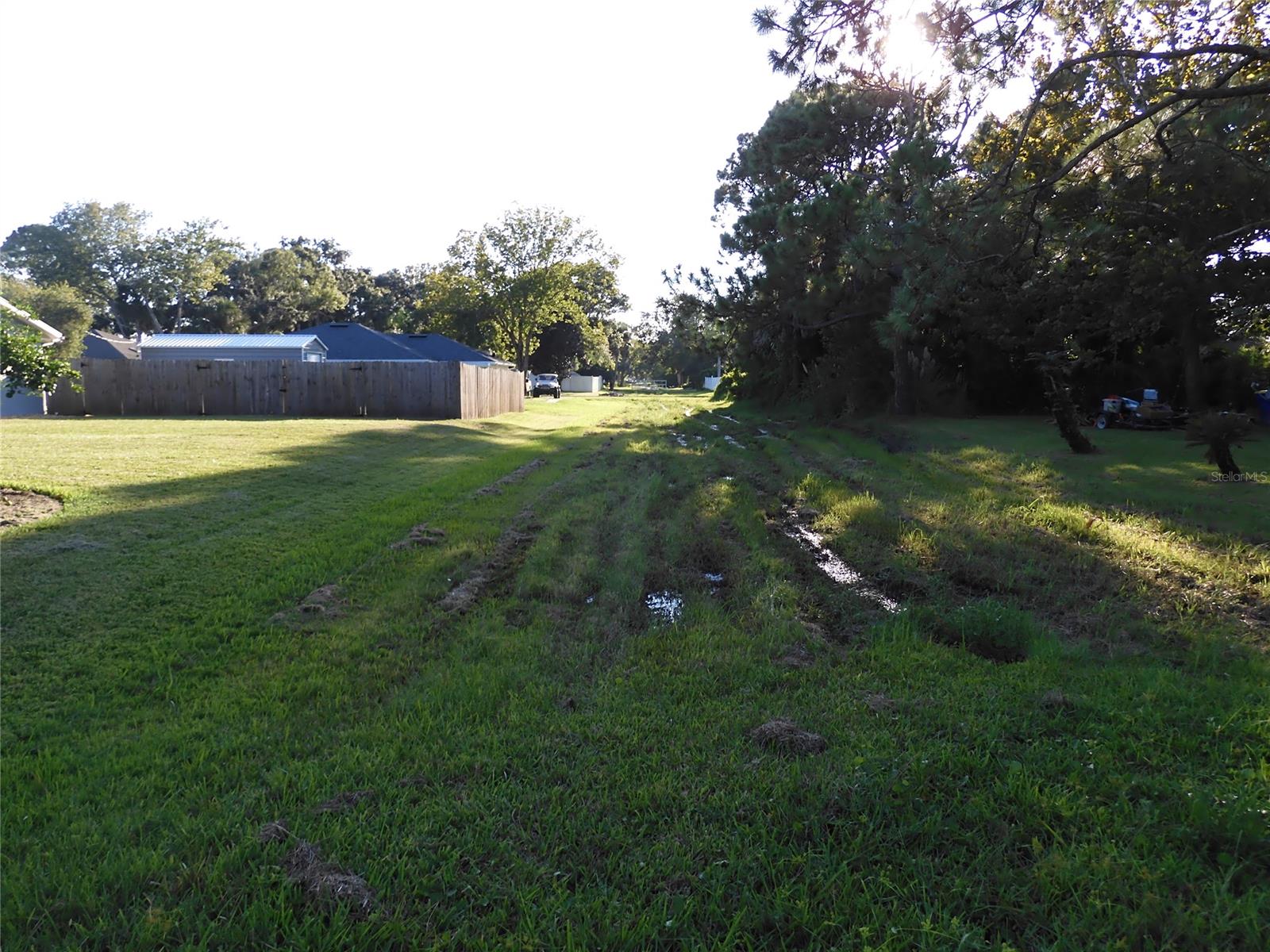 Florida Shores 01 - Land