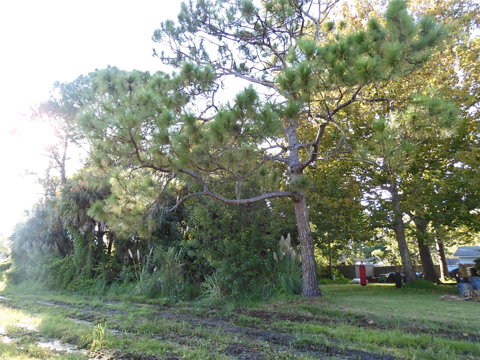 Florida Shores 01 - Land