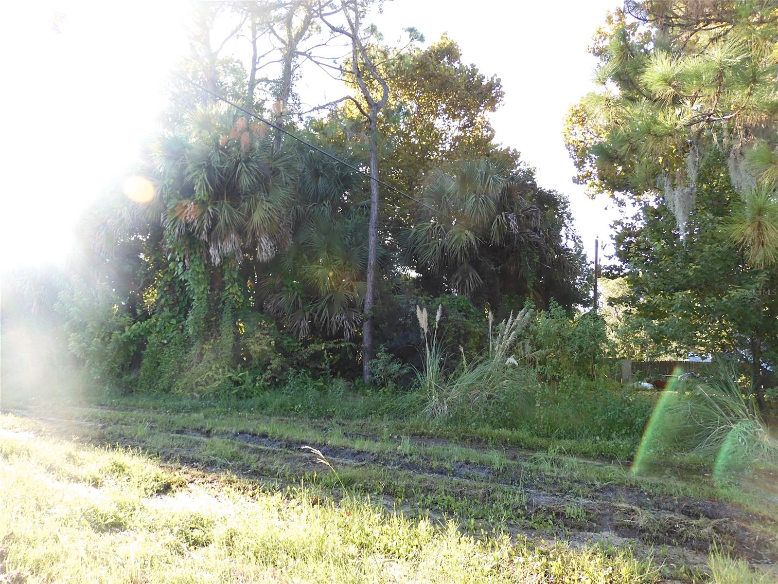 Florida Shores 01 - Land