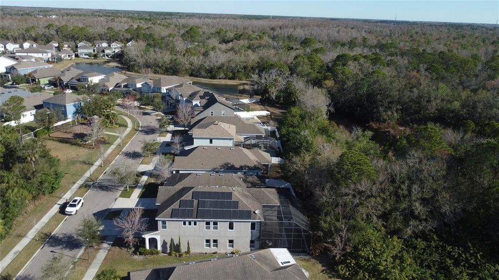 Photo of 11403 Quiet Forest Drive, Tampa, FL 33635 (MLS # TB8480409)