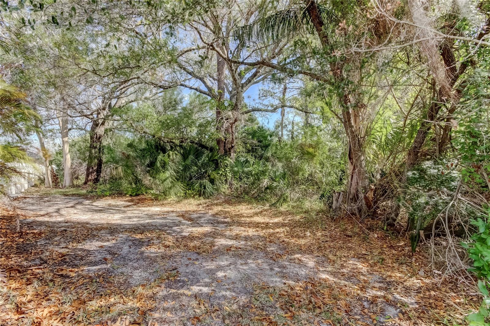 CHAMPIONS FOREST - Residential