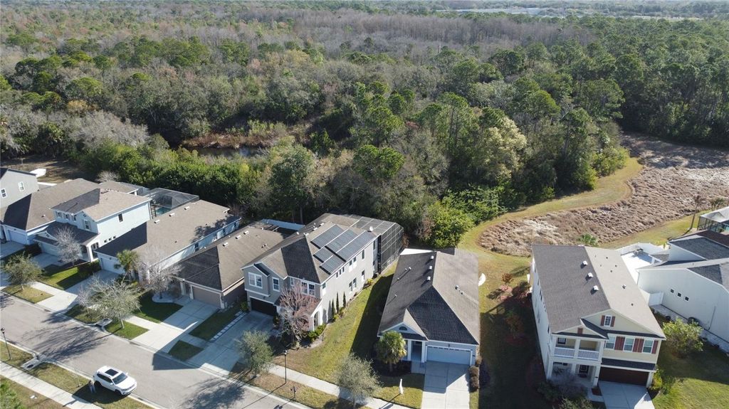 Photo of 11403 Quiet Forest Drive, Tampa, FL 33635 (MLS # TB8480409)