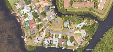 1137 FLORIDA AVENUE TARPON SPRINGS FL 34689