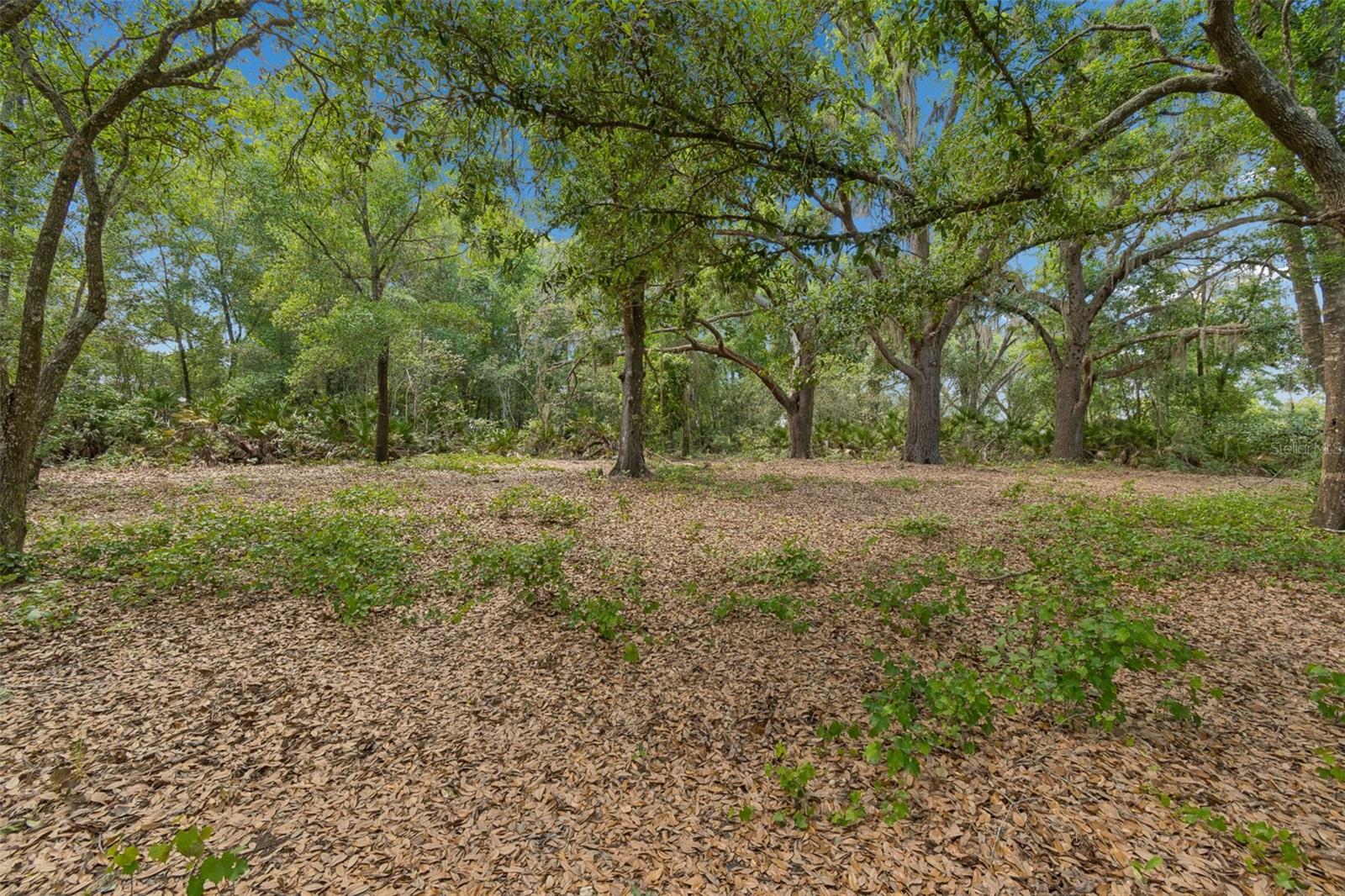 WHITAKER PRESERVE - Residential
