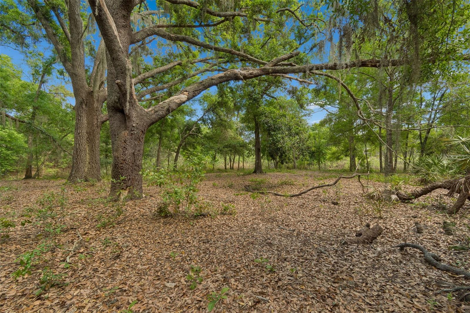 WHITAKER PRESERVE - Residential