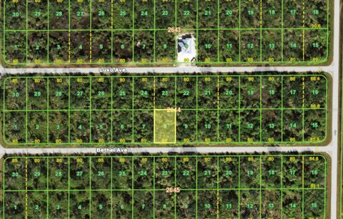 14202 BETHEL AVENUE PORT CHARLOTTE FL 33953