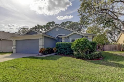 A home in TAMPA