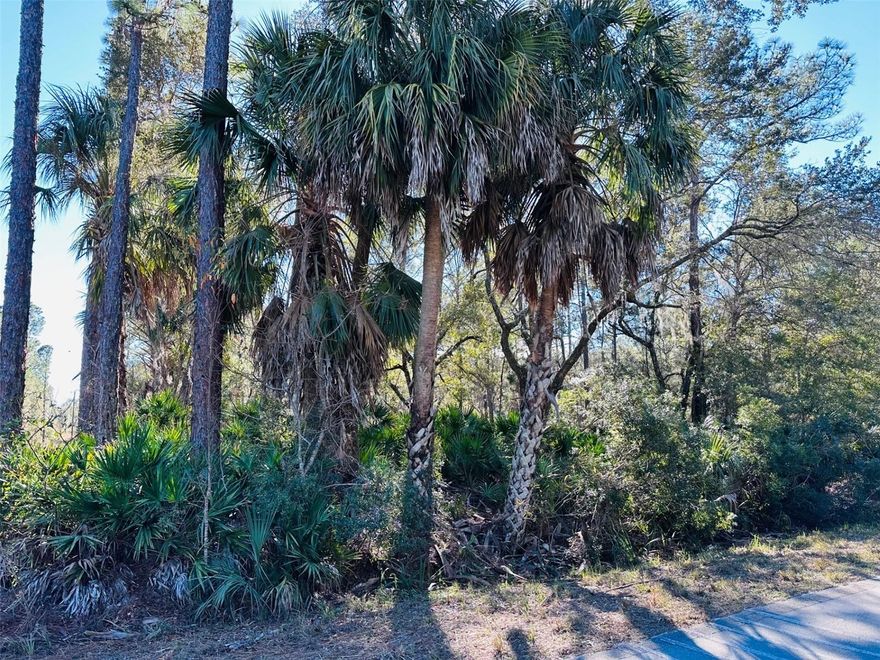 Have a look at this 10 acres of vacant land in North Central Florida ready for your dream property! This beautiful wooded acreage with partial clearing is ideal for a new site-built home, modular home, or manufactured home in a peaceful country setting. Located on a paved road with easy access, this property offers space, privacy, and convenience just 10 minutes to Cedar Key, 15 minutes to Shell Mound boat ramp, and close to the Lower Suwannee National Wildlife Refuge for outstanding outdoor recreation. Enjoy wildlife views, room for gardening or pasture, and unlimited possibilities for your rural homestead or investment land in a highly sought-after area of Florida. Don’t miss out on this rare opportunity for affordable acreage near water access, recreation, and natural beauty!