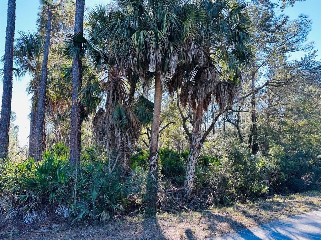 Photo of 0 SW 60th Street, Cedar Key, FL 32625 (MLS # GC536173)