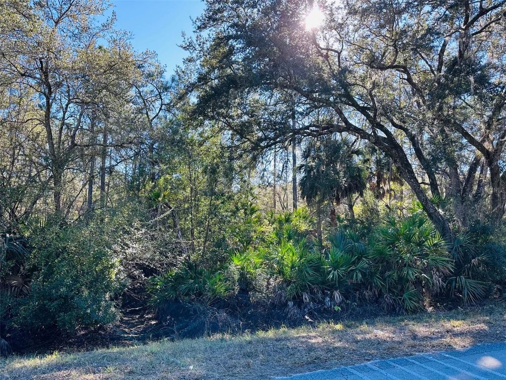 Photo of 0 SW 60th Street, Cedar Key, FL 32625 (MLS # GC536173)